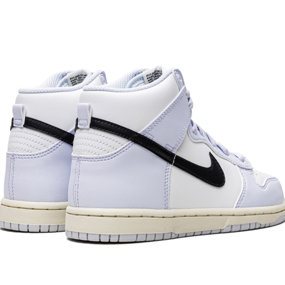 Dunk High PS DD2314 110