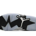 Air Jordan 6 "Reverse Oreo" CT8529 112