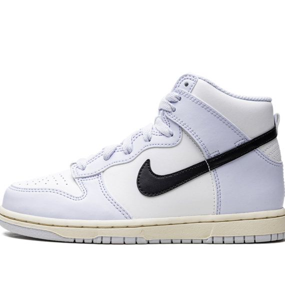 Dunk High PS DD2314 110