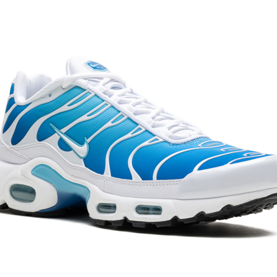 Air Max Plus "Blue Gaze" 852630 411