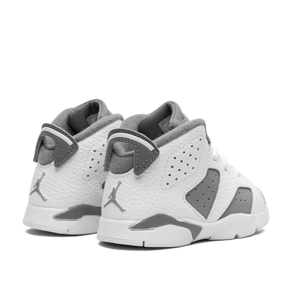 Air Jordan 6 TD "Cool Grey" DV3606 100