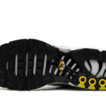 Air Max Plus "Black / White" CT1094 102