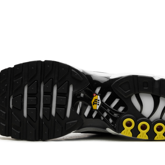 Air Max Plus "Black / White" CT1094 102