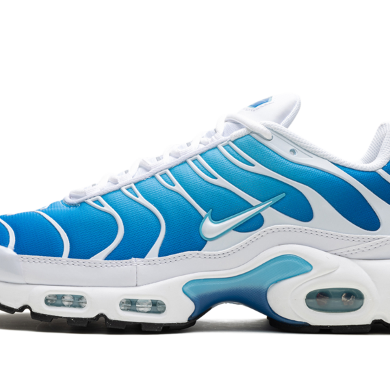 Air Max Plus "Blue Gaze" 852630 411