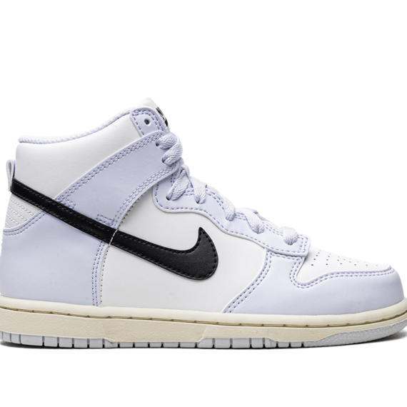 Dunk High PS DD2314 110