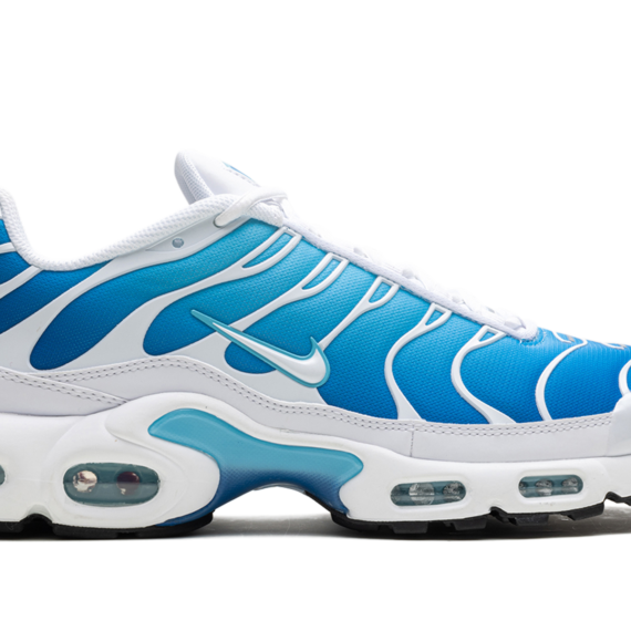 Air Max Plus "Blue Gaze" 852630 411